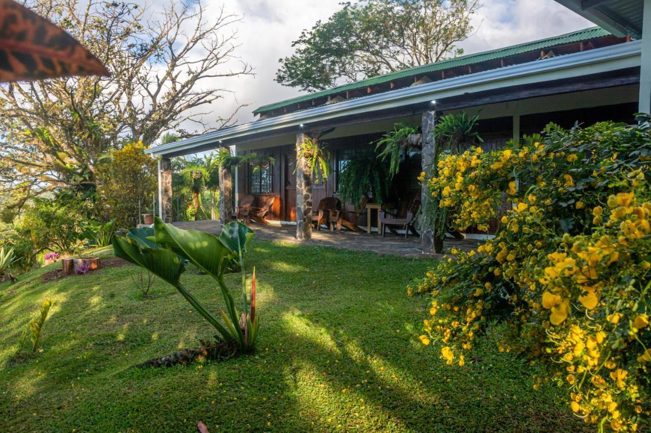 Vista Lago Arenal Piedras Bagian luar foto