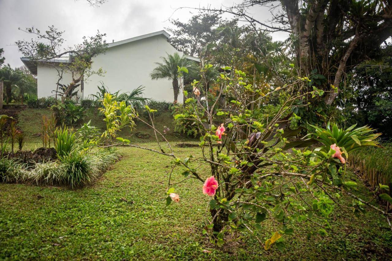 Vista Lago Arenal Piedras Bagian luar foto