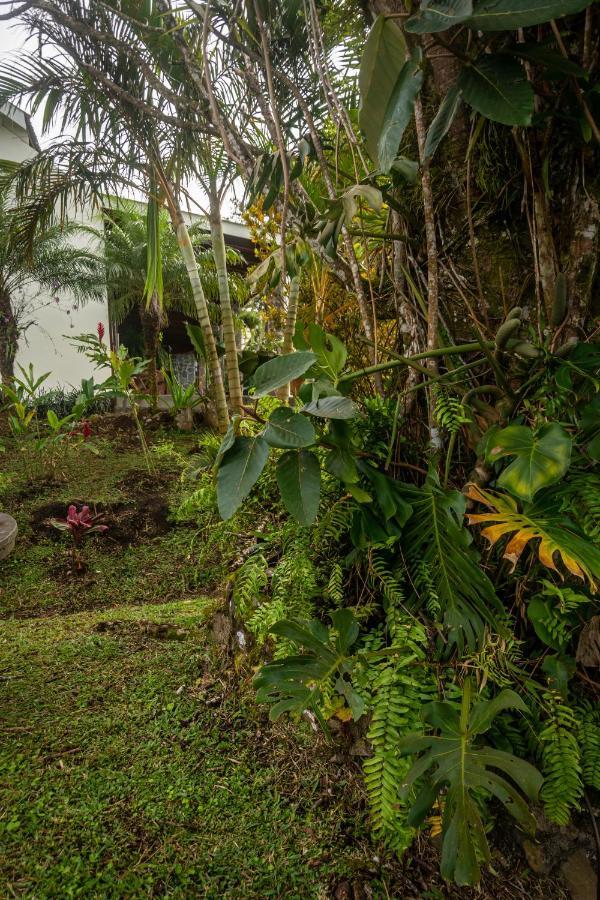 Vista Lago Arenal Piedras Bagian luar foto